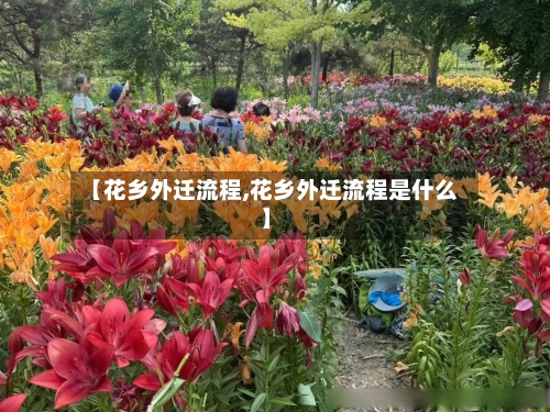 【花乡外迁流程,花乡外迁流程是什么】-第2张图片