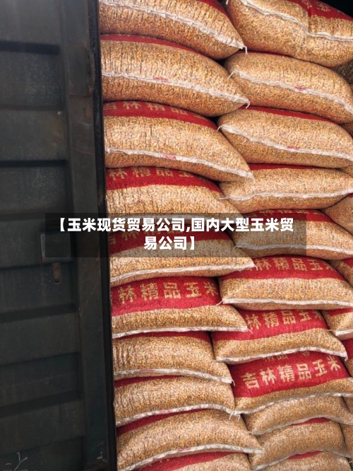 【玉米现货贸易公司,国内大型玉米贸易公司】