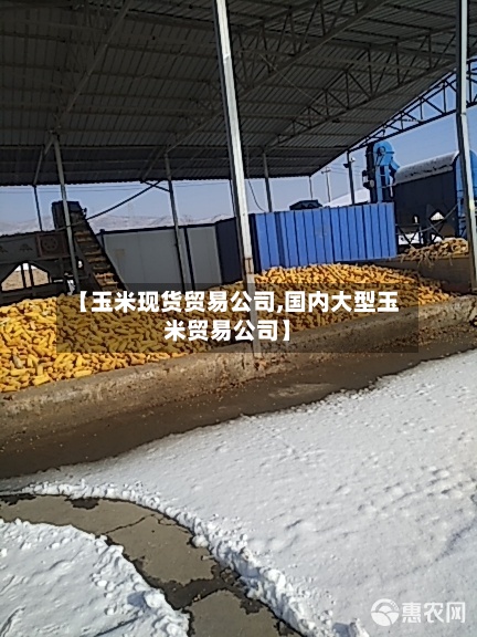 【玉米现货贸易公司,国内大型玉米贸易公司】-第2张图片