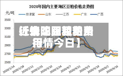近来
【沈阳豆粕费用
行情沈阳豆粕费用
行情今日】-第3张图片