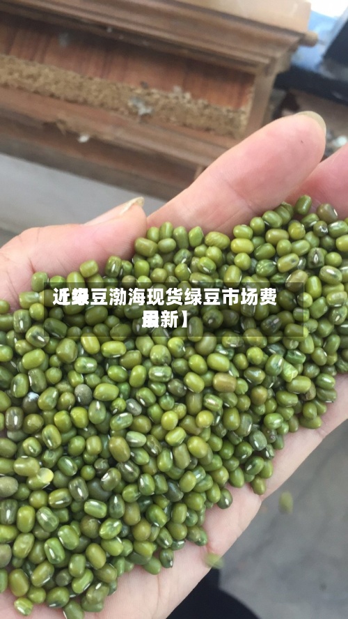 近来【绿豆渤海现货绿豆市场费用最新】