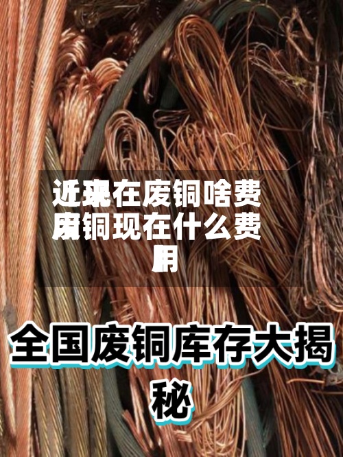 近来【现在废铜啥费用废铜现在什么费用】