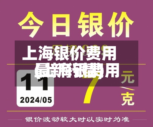 上海银价费用(上海银费用最新行情)