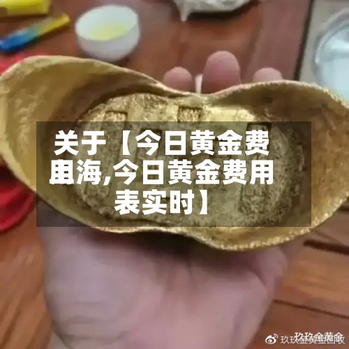 关于【今日黄金费用上海,今日黄金费用表实时】