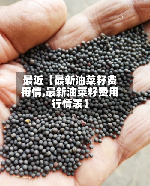 最近【最新油菜籽费用
行情,最新油菜籽费用
行情表】-第2张图片