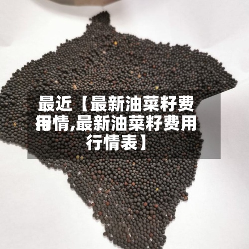 最近【最新油菜籽费用行情,最新油菜籽费用行情表】
