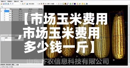 【市场玉米费用
,市场玉米费用
多少钱一斤】-第2张图片