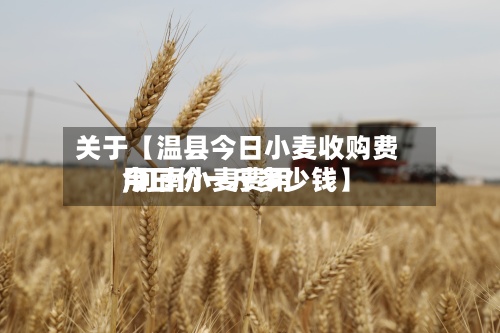 关于【温县今日小麦收购费用,河南小麦费用今日价一斤多少钱】