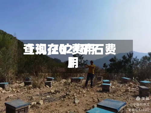 【现在矿费用
查询,2021矿石费用
】-第3张图片