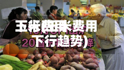 玉米费用下行(玉米费用下行趋势)