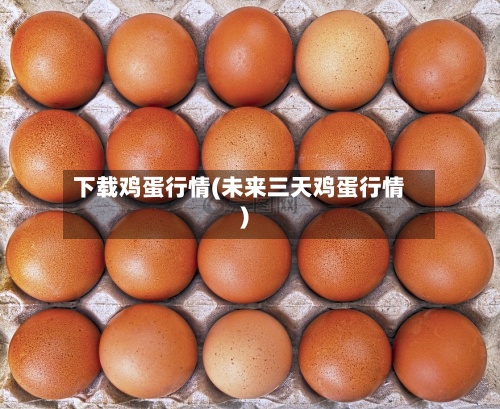 下载鸡蛋行情(未来三天鸡蛋行情)-第2张图片