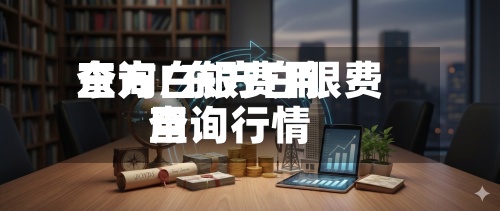 东方白银费用查询/东方白银费用查询行情