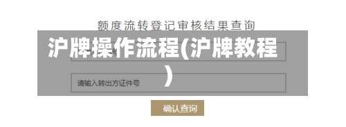 沪牌操作流程(沪牌教程)-第2张图片