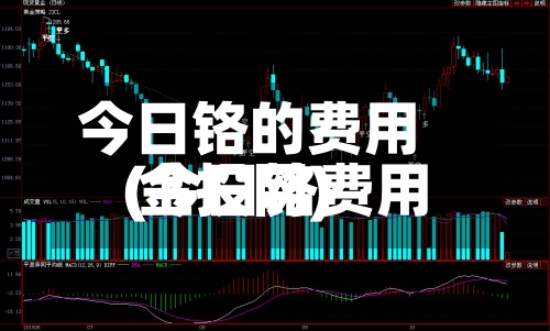 今日铬的费用(今日铬费用 金投网)