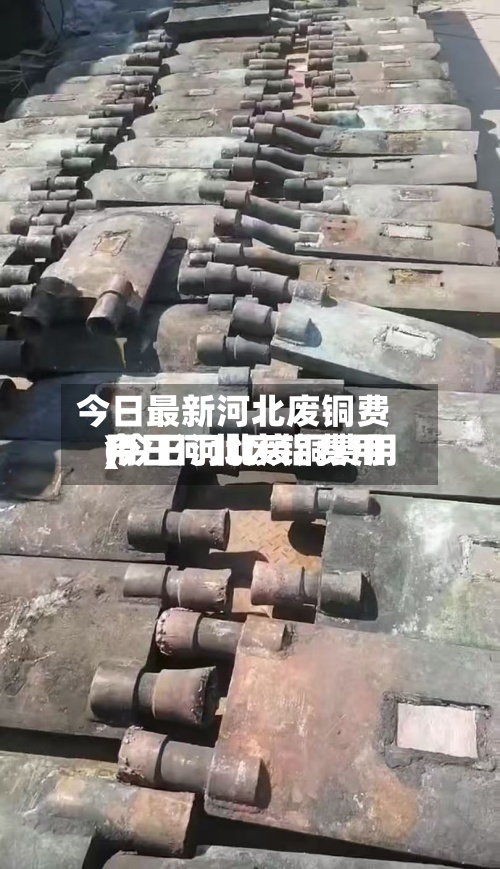 今日最新河北废铜费用
(今日河北废铜费用
今日河北废铝费用
)-第2张图片