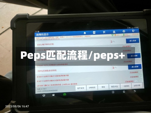Peps匹配流程/peps+
