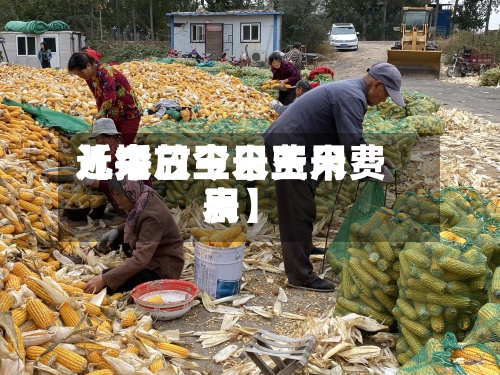 近来【今日玉米费用儿播放今日玉米费用表】