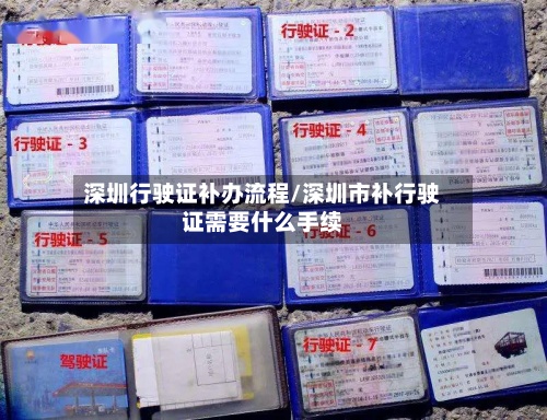 深圳行驶证补办流程/深圳市补行驶证需要什么手续
