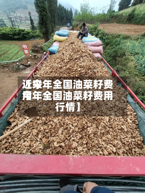 近来
【今年全国油菜籽费用
今年全国油菜籽费用
行情】-第3张图片