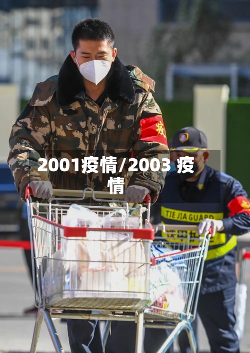 2001疫情/2003 疫情-第2张图片