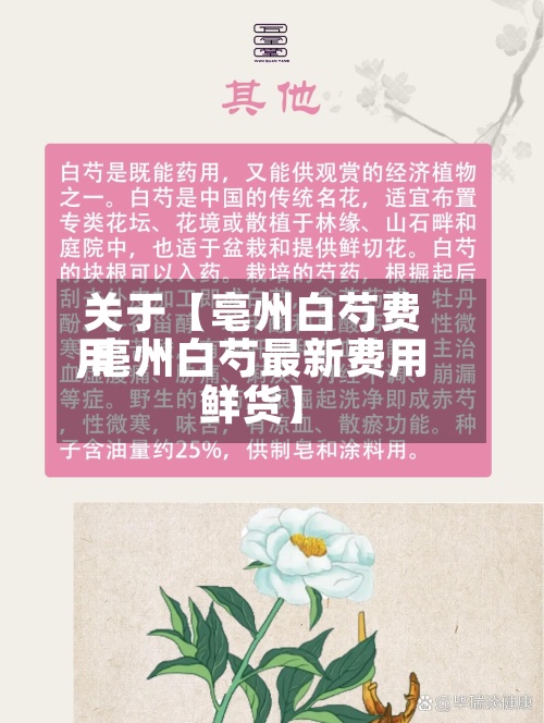 关于【亳州白芍费用
,亳州白芍最新费用
鲜货】-第2张图片