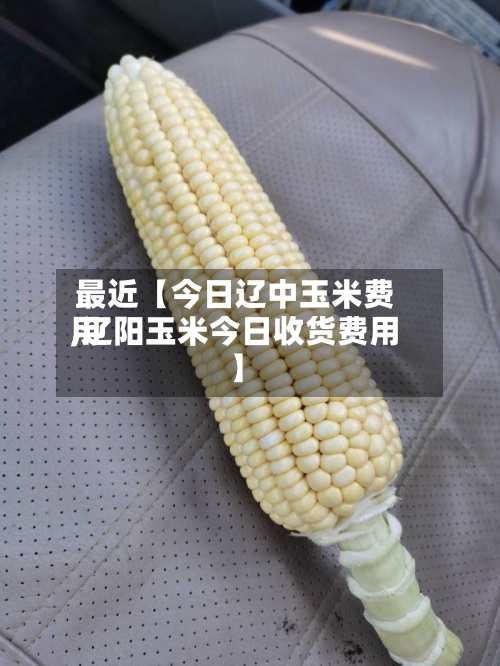 最近【今日辽中玉米费用
,辽阳玉米今日收货费用
】-第2张图片