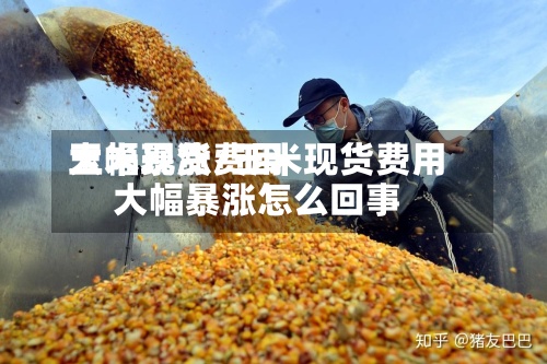 玉米现货费用大幅暴涨/玉米现货费用大幅暴涨怎么回事