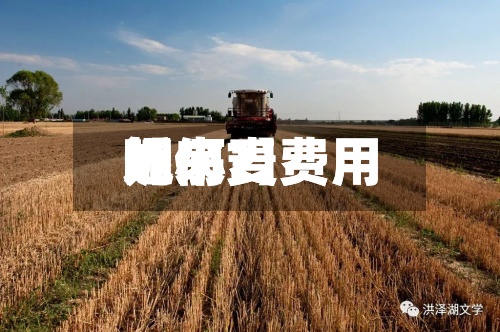 近来
【小麦费用
呢小麦费用
如何?】-第2张图片