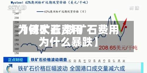 【铁矿石费用
为何大涨,铁矿石费用
为什么暴跌】-第2张图片