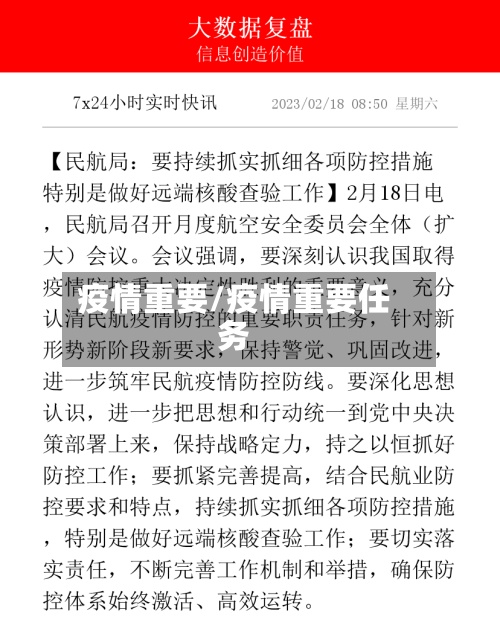 疫情重要/疫情重要任务-第2张图片