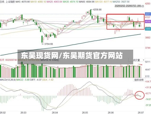 东吴现货网/东吴期货官方网站
-第2张图片