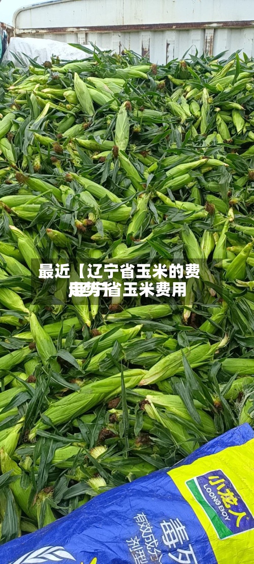 最近【辽宁省玉米的费用,辽宁省玉米费用走势】-第2张图片