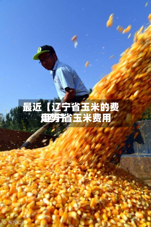 最近【辽宁省玉米的费用,辽宁省玉米费用走势】