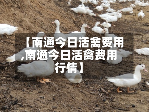 【南通今日活禽费用,南通今日活禽费用行情】