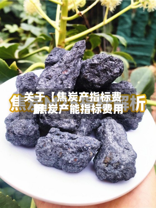 关于【焦炭产指标费用
,焦炭产能指标费用
】-第2张图片