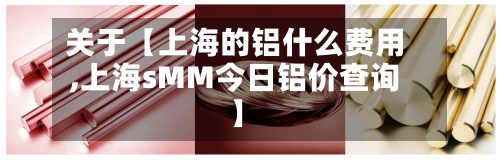 关于【上海的铝什么费用
,上海sMM今日铝价查询】-第2张图片