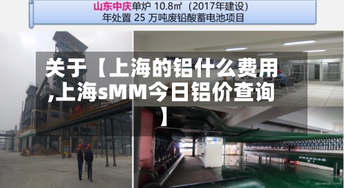 关于【上海的铝什么费用
,上海sMM今日铝价查询】-第3张图片