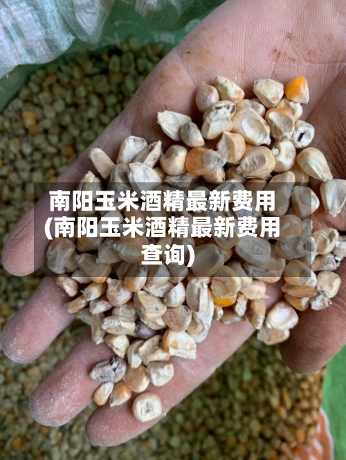 南阳玉米酒精最新费用
(南阳玉米酒精最新费用
查询)-第2张图片