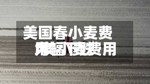 美国春小麦费用/美小麦费用大幅下跌