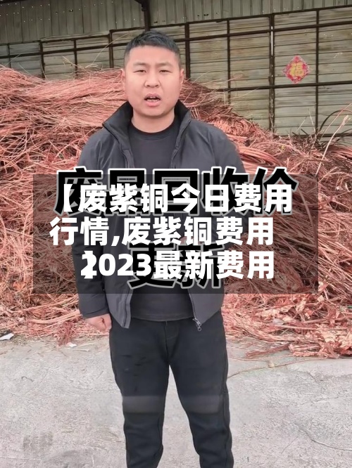 【废紫铜今日费用
行情,废紫铜费用
2023最新费用
】-第2张图片