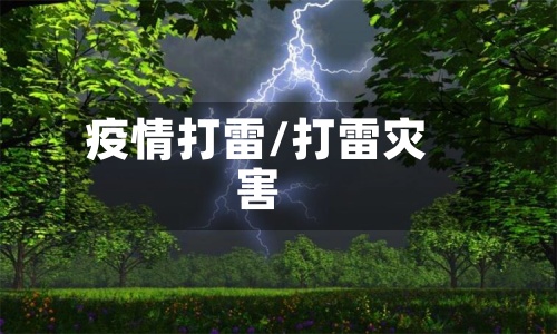 疫情打雷/打雷灾害