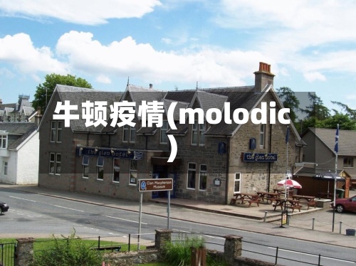 牛顿疫情(molodic)