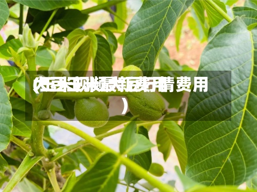 大豆玉米最新费用
(玉米视频大豆行情费用
)-第3张图片