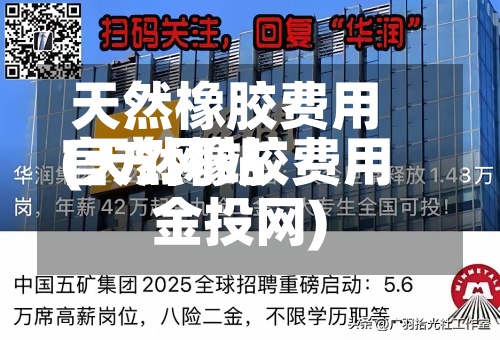 天然橡胶费用官方网站(天然橡胶费用金投网)
