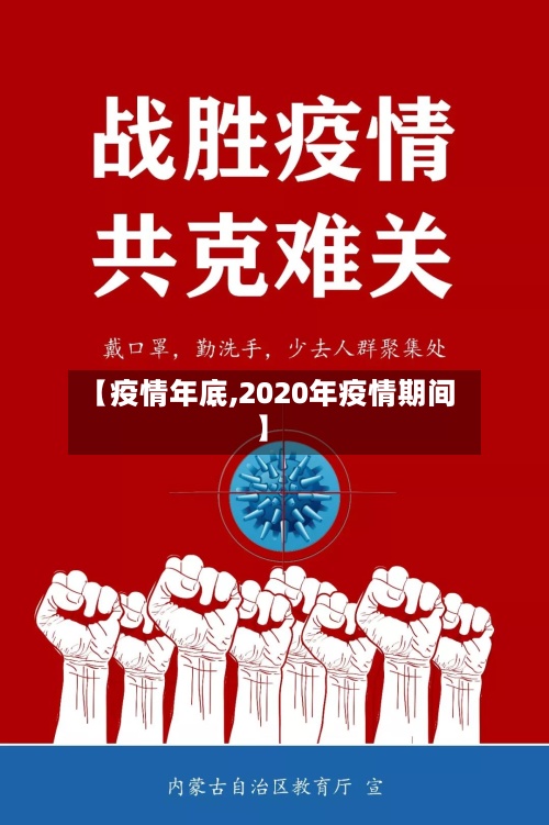【疫情年底,2020年疫情期间】