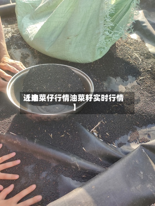 近来
【油菜仔行情油菜籽实时行情】-第3张图片