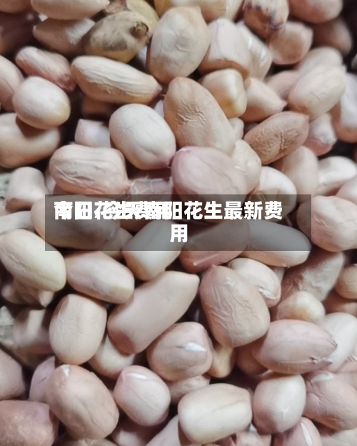 今日花生费用南阳/今天南阳花生最新费用