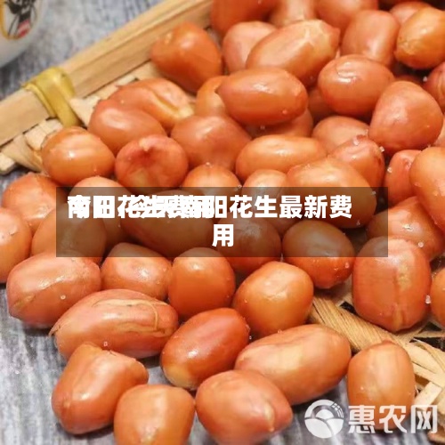 今日花生费用
南阳/今天南阳花生最新费用
-第2张图片