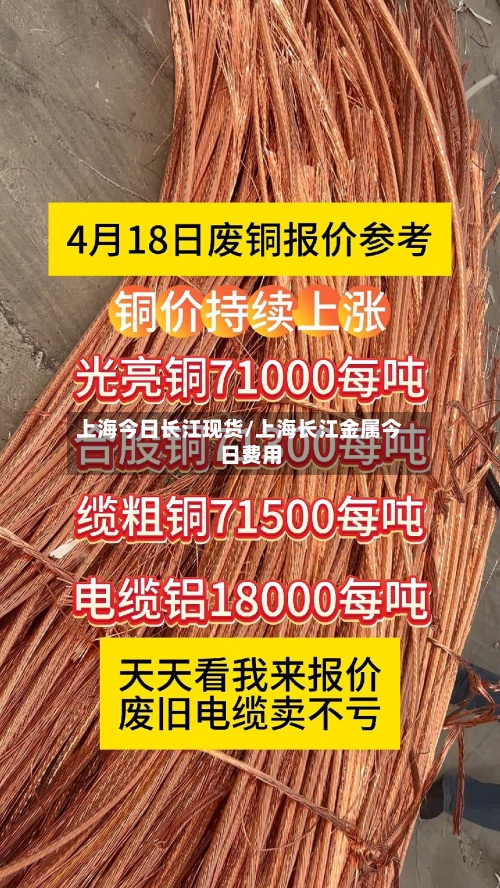 上海今日长江现货/上海长江金属今日费用
-第3张图片