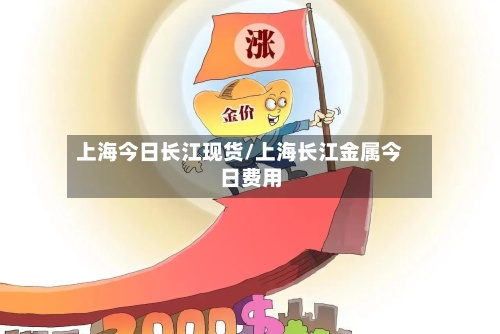 上海今日长江现货/上海长江金属今日费用
-第2张图片